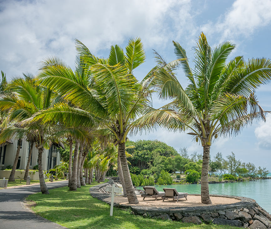 ESP Landscapers Landscaping Mauritius