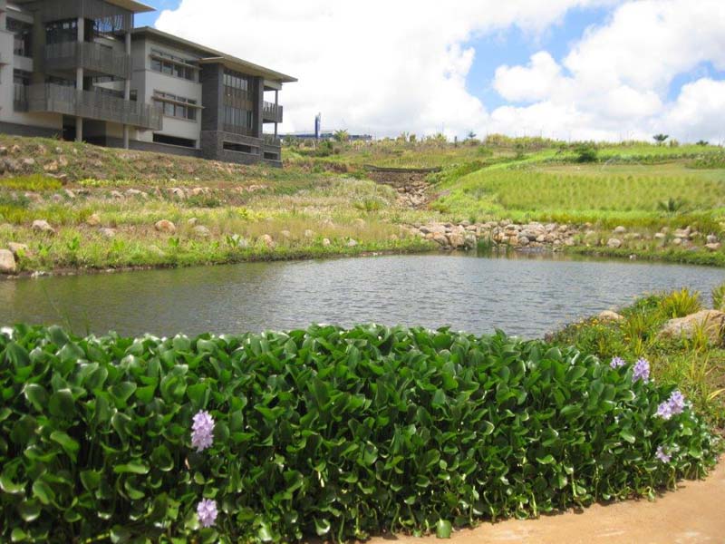 Gardens of Bagatelle (Bagatelle Office Park)